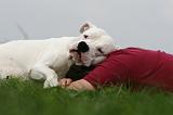 ADULTE ET CHIEN 375